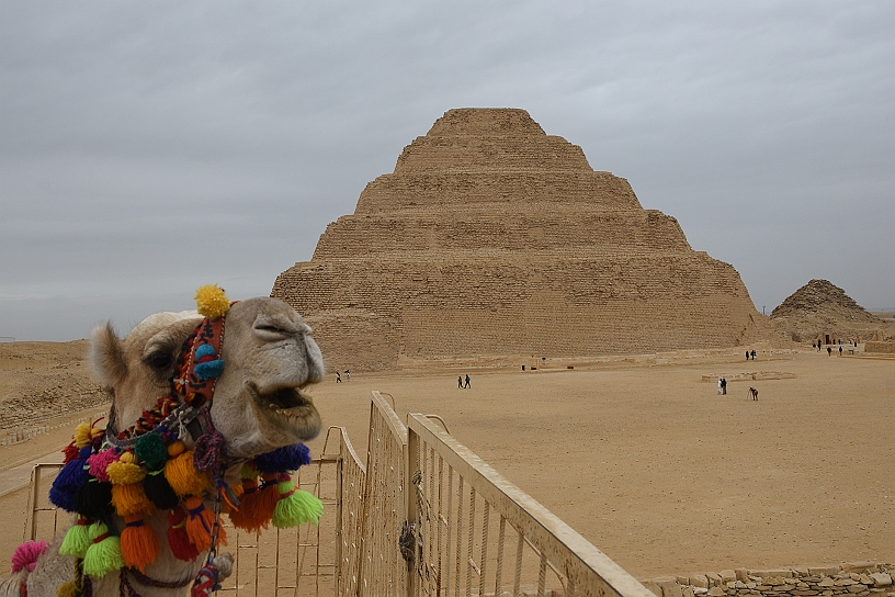 29 MAK_6893.jpg - La piramide a gradoni di Djoser.